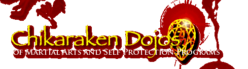 Chikaraken Dojos - Self Protection Programs